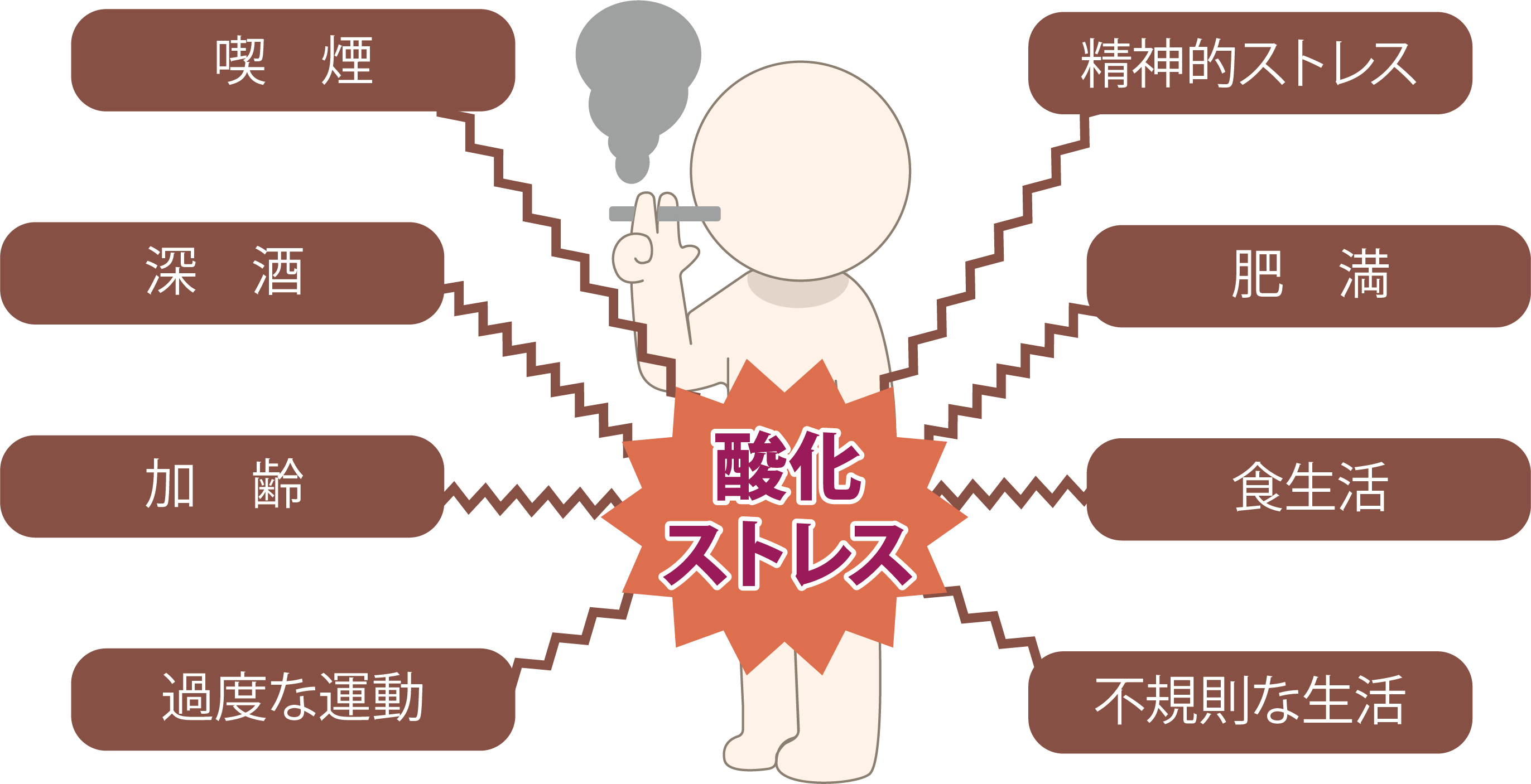 精子酸化ストレスイメージ画像